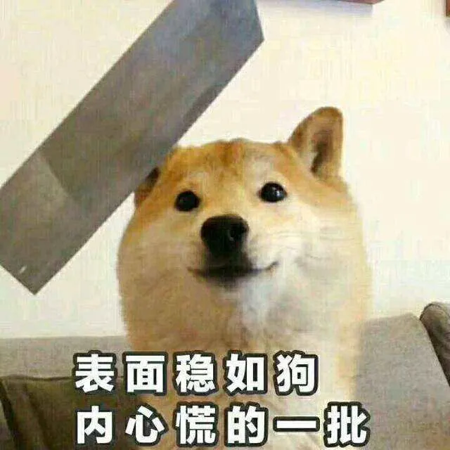 第一次开车